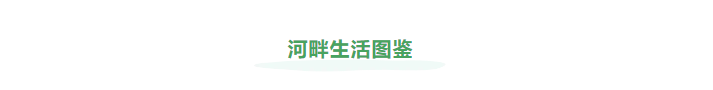 企業(yè)微信截圖_17213542714810.png